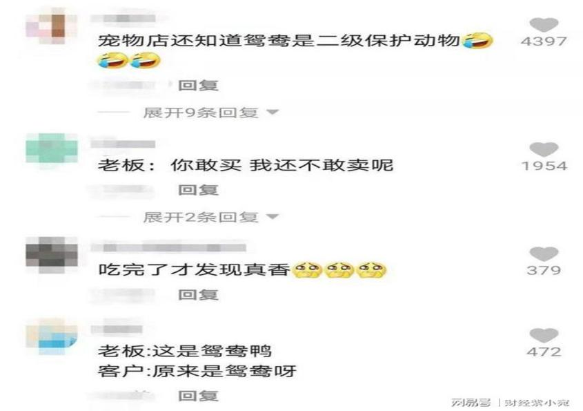 1651031113525988.png