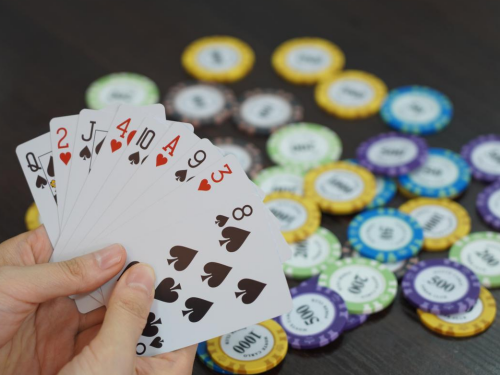 1769479157424070.jpg 5.jpg