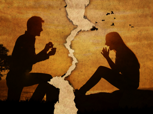 1769741046136497.jpg 3.jpg